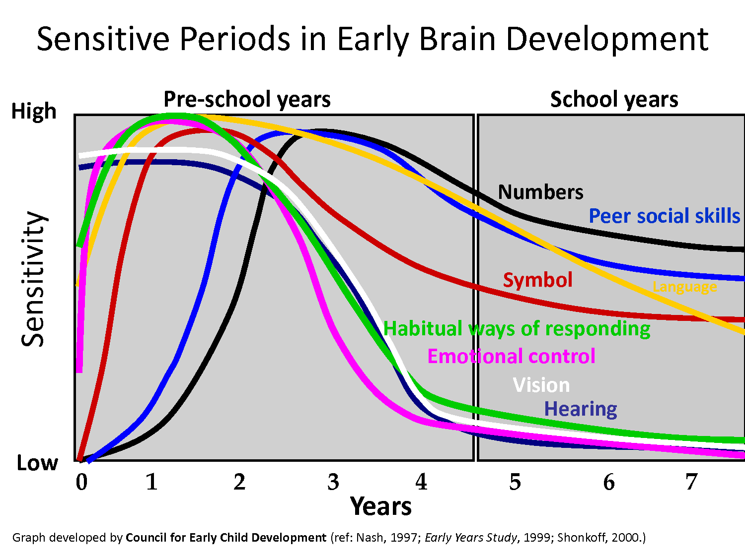 Habitual. Sensitive periods in early Brain Development. Sensitive period. Brain Development and School. Skills Development Brain.